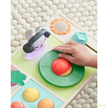 Skip Hop - Farm stand Activity toy DJ Set