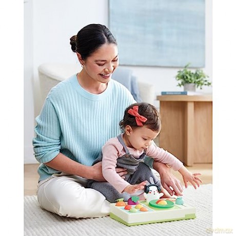 Skip Hop - Farm stand Activity toy DJ Set