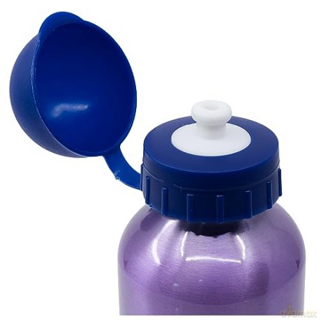 Stor - Water Bottle 400 ml. - Frozen (088808717-74234)
