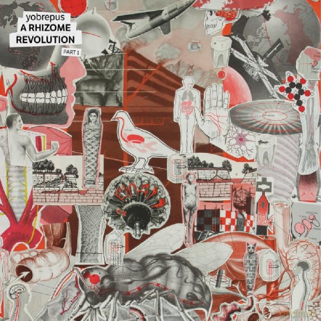 Yobrepus: A Rhizome Revolution Part 1 [CD]