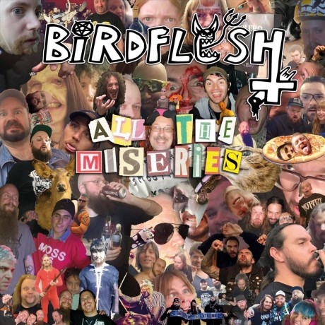 Birdflesh: All The Miseries [CD]