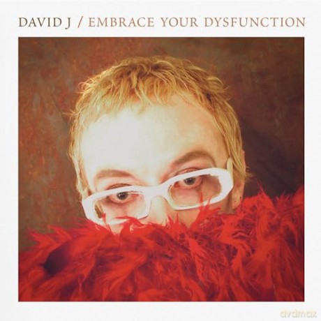 David J: Embrace Your Dysfunction [CD]