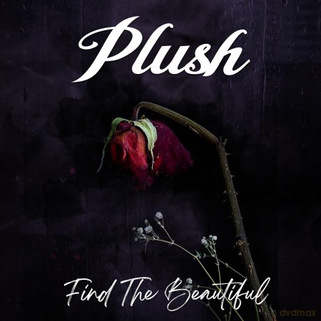 Plush: Find The Beautiful [CD]