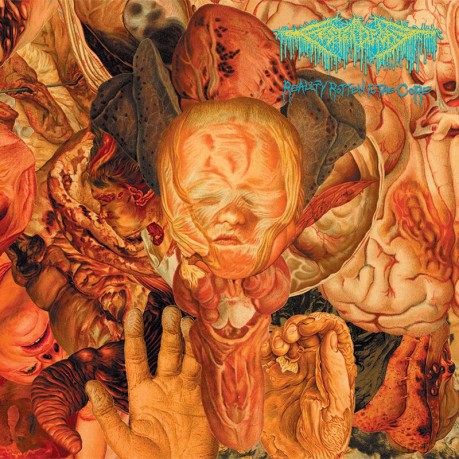 Festerdecay: Reality Rotten To The Core [CD]