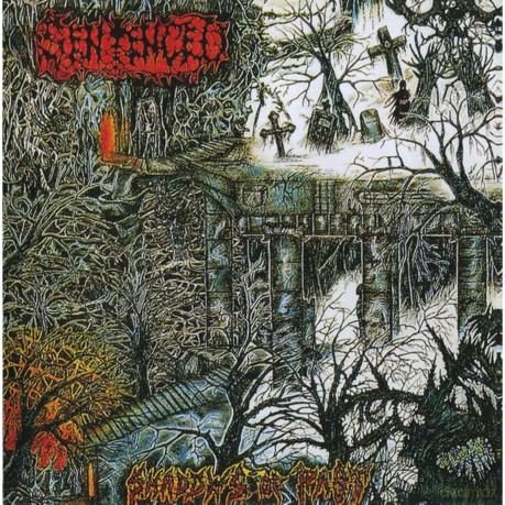 Sentenced: Shadows Of The Past [CD]