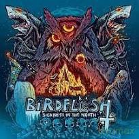 Birdflesh: Sickness In The North (Limited) [CD]