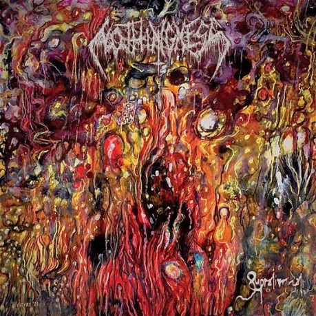 Nothingness: Supraliminal [CD]