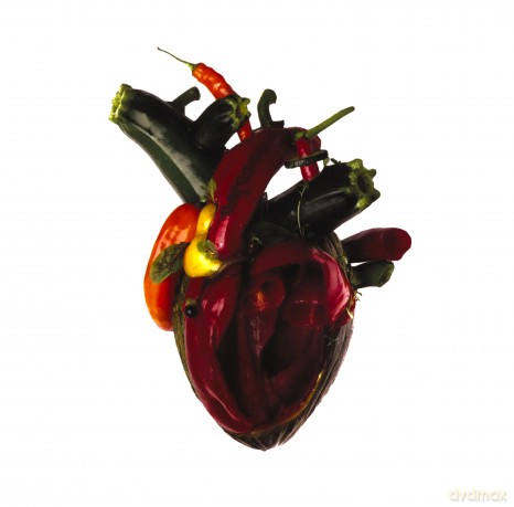 Carcass: Torn Arteries [CD]