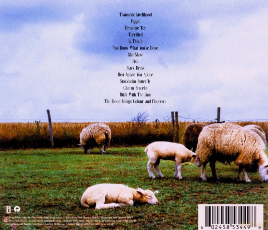 Jazmin Bean: Traumatic Livelihood [CD]