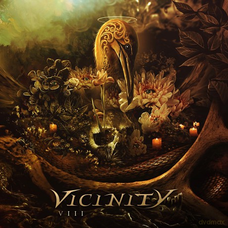 Vicinity: Viii [CD]