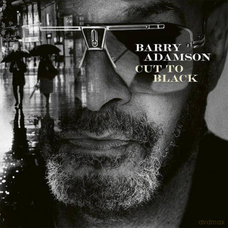 Barry Adamson: Cut To Black [Winyl]