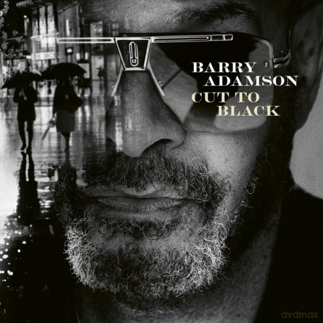 Barry Adamson: Cut To Black [Winyl]