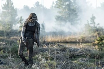 Fear the Walking Dead Season 8 [4xBlu-Ray]