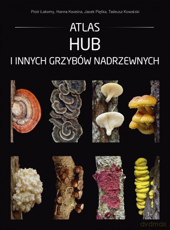 Atlas hub i innych grzybów nadrzewnych - Piotr Łakomy, Hanna Kwaśna, Jacek Piętka, Tadeusz Kowalski [KSIĄŻKA]