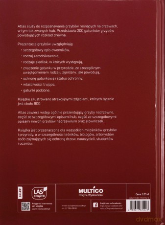 Atlas hub i innych grzybów nadrzewnych - Piotr Łakomy, Hanna Kwaśna, Jacek Piętka, Tadeusz Kowalski [KSIĄŻKA]