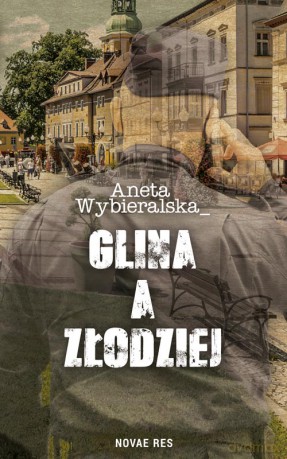 Glina a złodziej - Aneta Wybieralska [KSIĄŻKA]