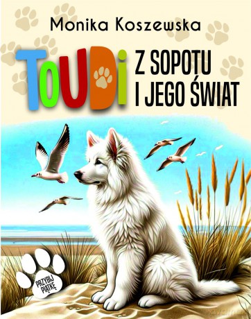 Toudi z Sopotu i jego świat - Monika Koszewska [KSIĄŻKA]