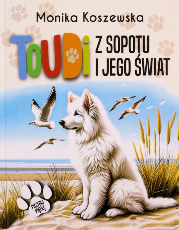 Toudi z Sopotu i jego świat - Monika Koszewska [KSIĄŻKA]