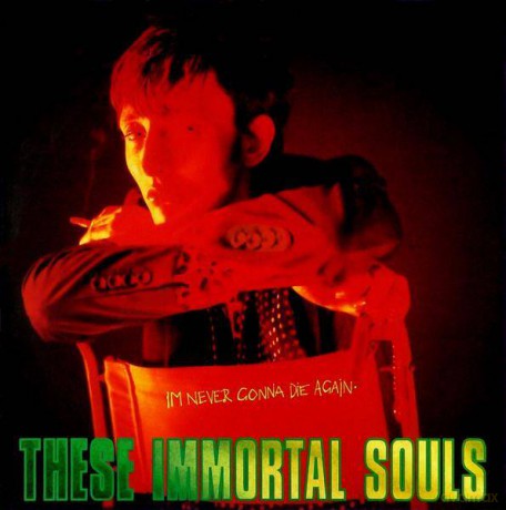 These Immortal Souls: I'm Never Gonna Die Again [Winyl]
