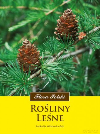 Rośliny Leśne - Leokadia Witkowska-Żuk [KSIĄŻKA]
