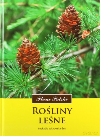 Rośliny Leśne - Leokadia Witkowska-Żuk [KSIĄŻKA]