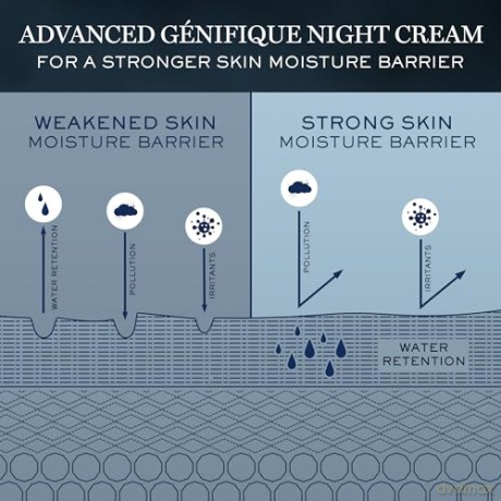 Lancome Advanced Génifique Night Repairing Night Cream 50ml
