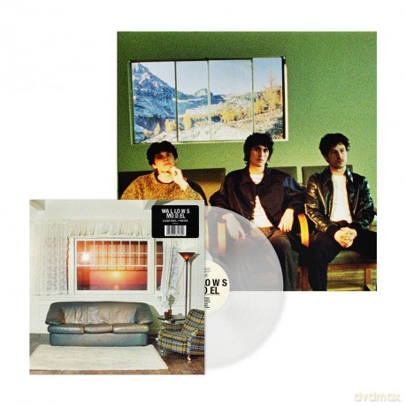 Wallows: Model (Limited) [Winyl]