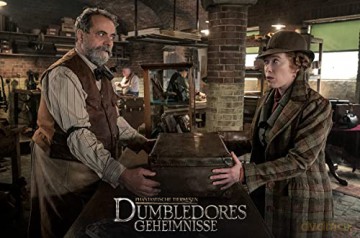 Fantastic Beasts: The Secrets of Dumbledore (Fantastyczne zwierzęta: Tajemnice Dumbledore'a) (steelbook) [Blu-Ray 4K]+[Blu-Ray]