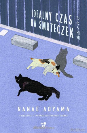 Idealny czas na smuteczek - Nanae Aoyama, Barbara Słomka, Anna Płaskoń-Sokołowska [KSIĄŻKA]