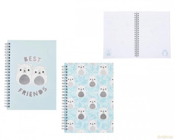 Notes na spirali Frosty 148x210mm 60k MP mix