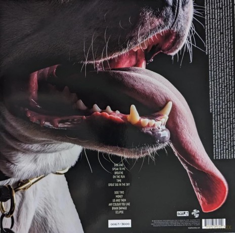 Roger Waters: The Dark Side Of The Moon Redux (Picture) (RSD) [Winyl]