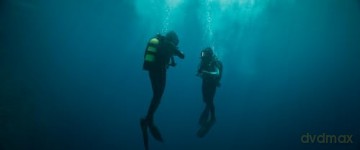 The Dive [Blu-Ray]