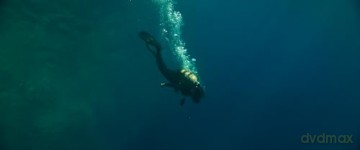 The Dive [Blu-Ray]