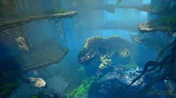 Biomutant [GRA XBOX SERIES X]