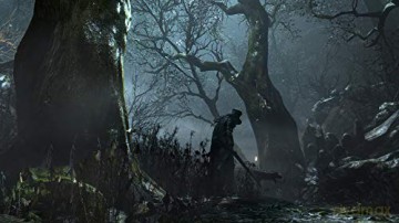 Bloodborne (Game of the Year Edition) (SP/Multi in Game) [GRA PS4]