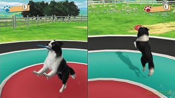 FUN! FUN! Animal Park (Code in Box) [GRA SWITCH]