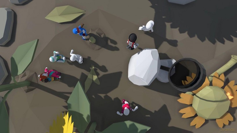 Human: Fall Flat Dream Collection [GRA PS5]