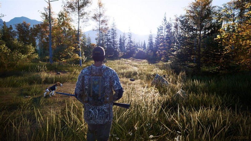 Hunting Simulator 2 (FR/NL/Multi in Game) [GRA PS5]