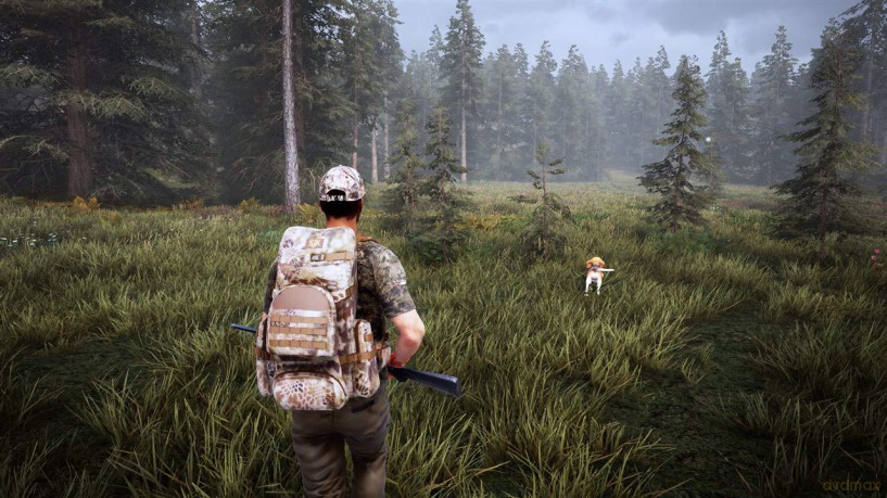 Hunting Simulator 2 (FR/NL/Multi in Game) [GRA PS5]