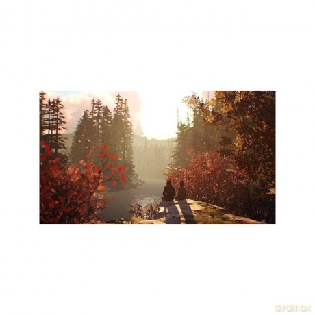 Life is Strange 2 [GRA PS4]