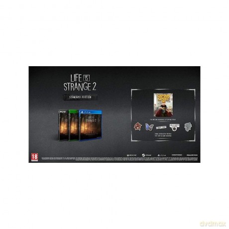 Life is Strange 2 [GRA PS4]