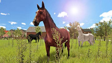 My Little Riding Champion (FR/NL/Multi in Game) [GRA PS4]