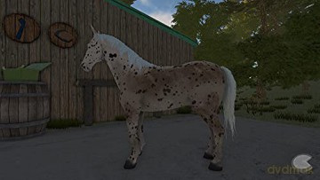 My Little Riding Champion (FR/NL/Multi in Game) [GRA PS4]