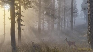Red Dead Redemption 2 [GRA PS4]