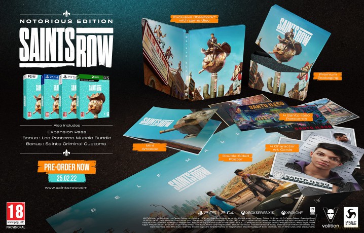 Saints Row - Notorious Edition (NL/FR/Multi in Game) [GRA PS4]