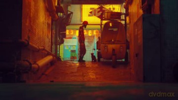 Stray [GRA PS5]