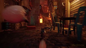 Stray [GRA PS5]
