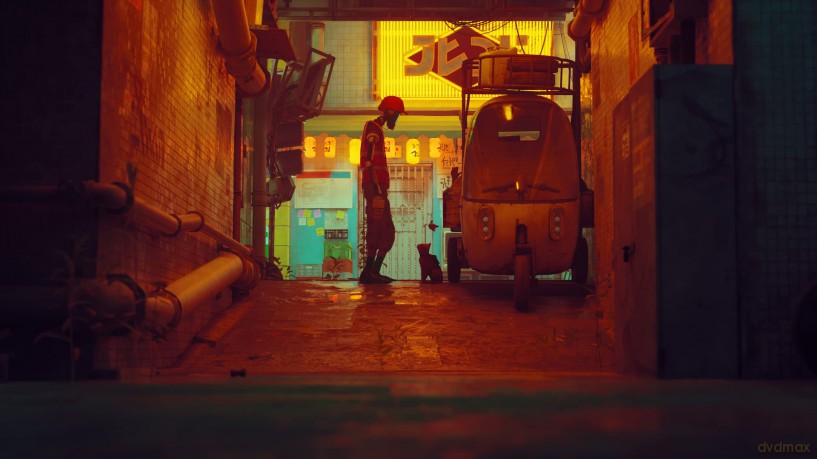 Stray [GRA PS4]