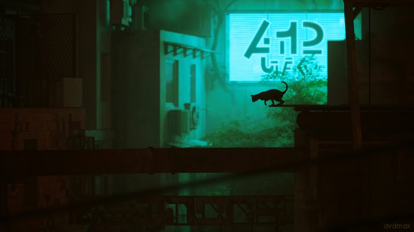 Stray [GRA PS4]