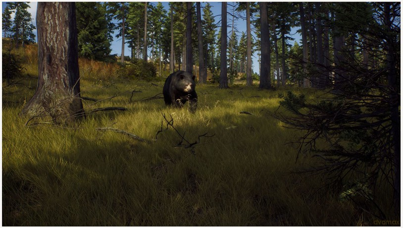 Way of the Hunter [GRA PS5]